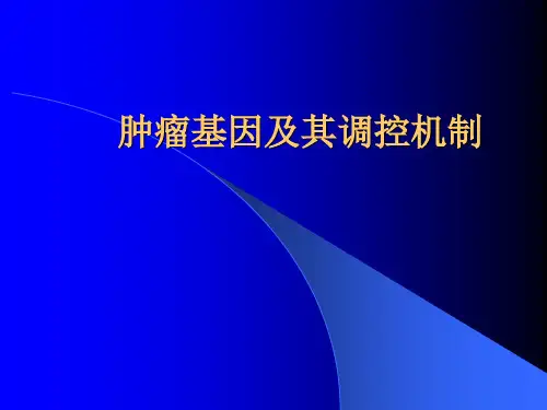 肿瘤基因及其调控机制.ppt