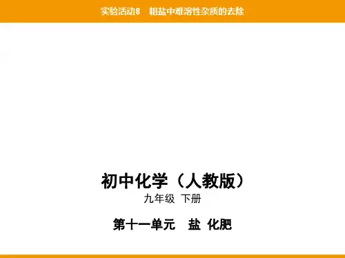 第十一单元实验活动8粗盐中难溶性杂质的去除