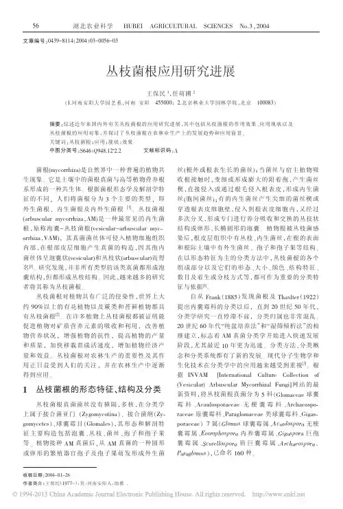 丛枝菌根应用研究进展