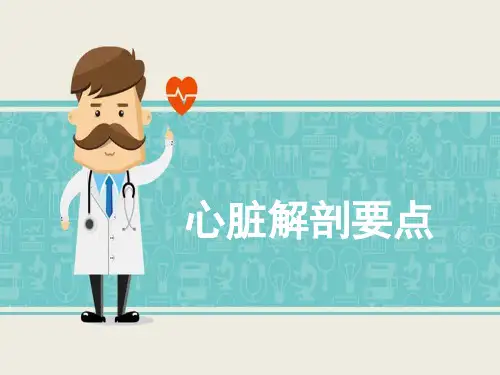 心脏解剖要点