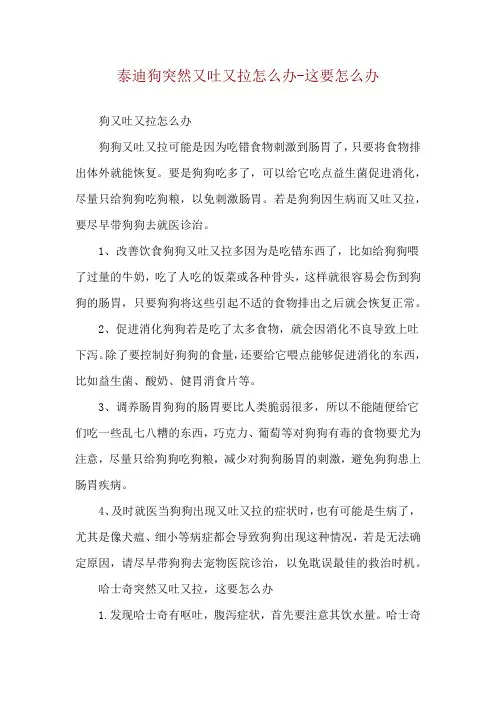 泰迪狗突然又吐又拉怎么办-这要怎么办