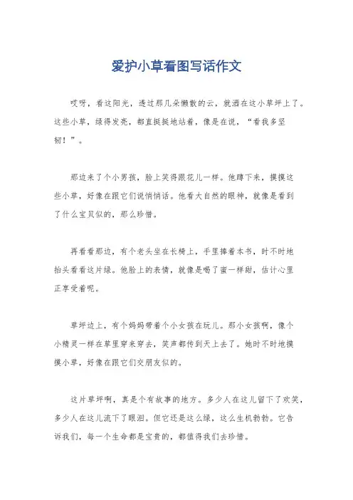 爱护小草看图写话作文
