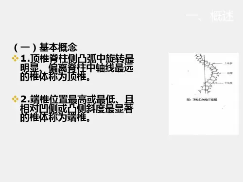 康复医学课件第五章第十三节脊柱侧凸的康复