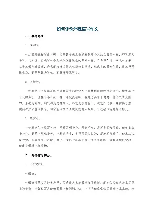如何评价外貌描写作文