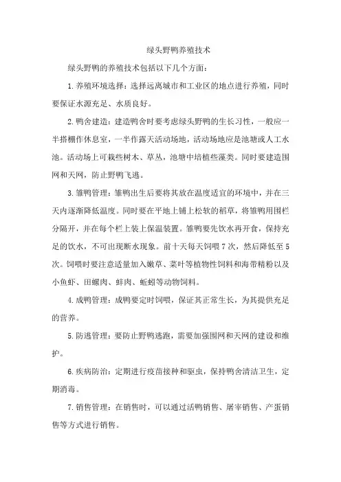 绿头野鸭养殖技术