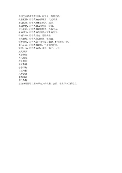 形容仪表的成语