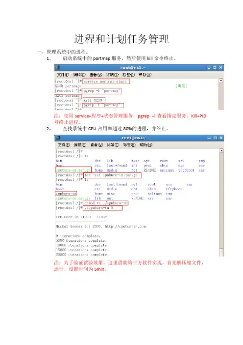 进程和计划任务管理