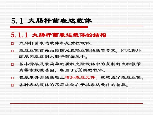 基因工程05幻灯片