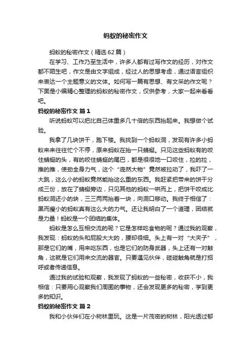 蚂蚁的秘密作文