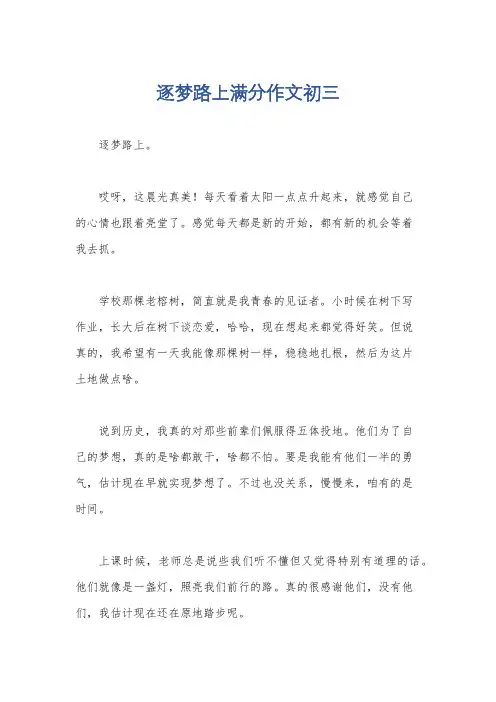 逐梦路上满分作文初三