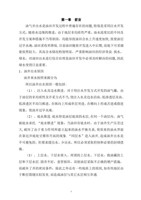 油井堵水技术方案