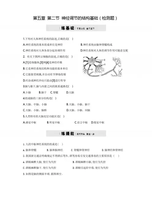 济南版七年级下册生物——第三单元第五章第二节神经调节的结构基础  测试试题