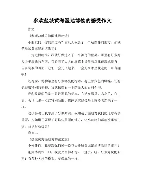 参欢盐城黄海湿地博物的感受作文