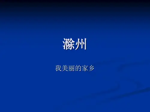 滁州ppt