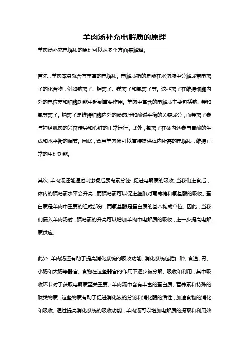 羊肉汤补充电解质的原理