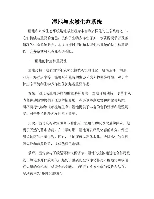 湿地与水域生态系统