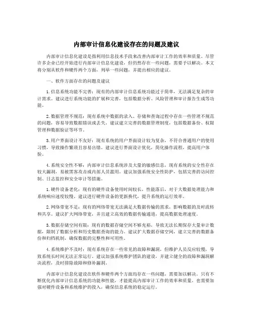 内部审计信息化建设存在的问题及建议