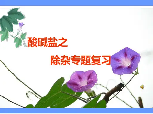 中考化学复习课件酸碱盐之除杂专题复习共17张