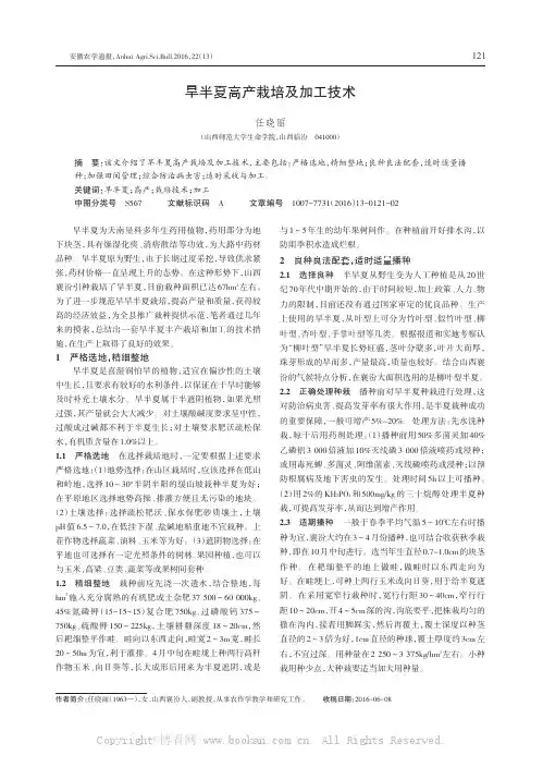 旱半夏高产栽培及加T技术