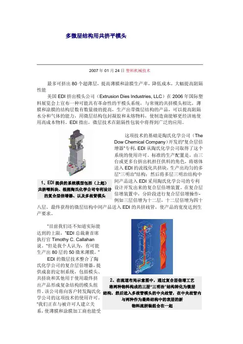 EDI的多层共挤平模头