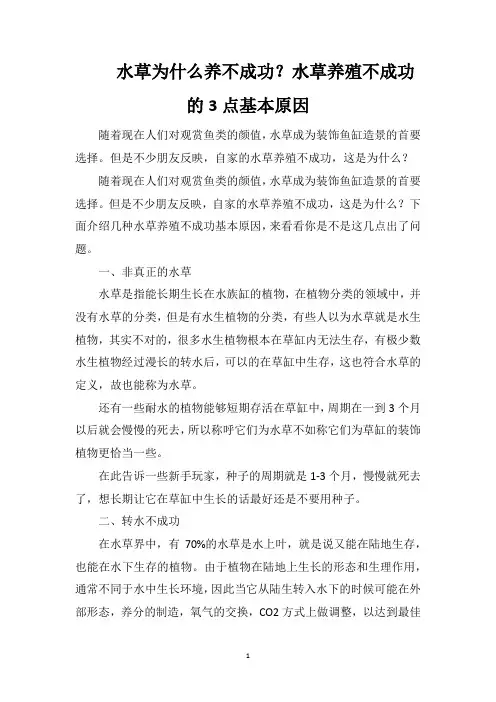 水草为什么养不成功？水草养殖不成功的3点基本原因