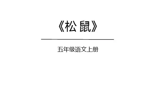 《松鼠》ppt课件