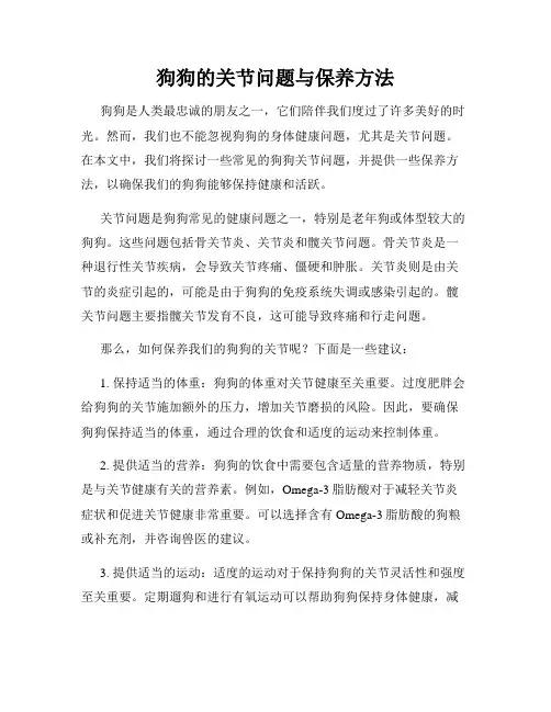 狗狗的关节问题与保养方法