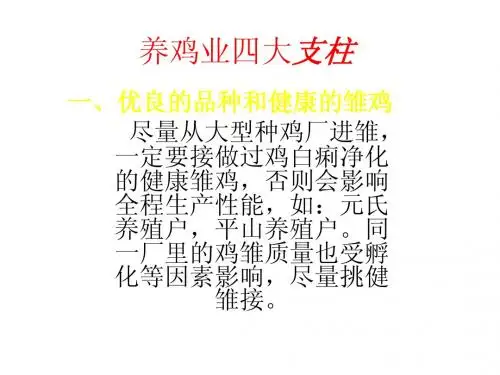养鸡业四大支拄幻灯