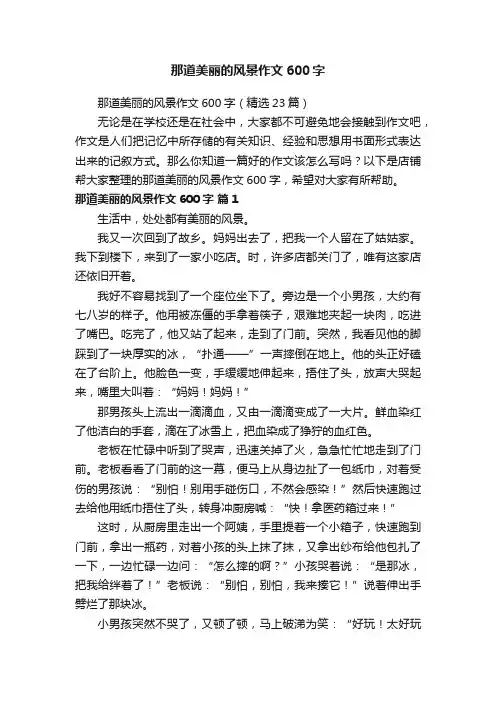 那道美丽的风景作文600字