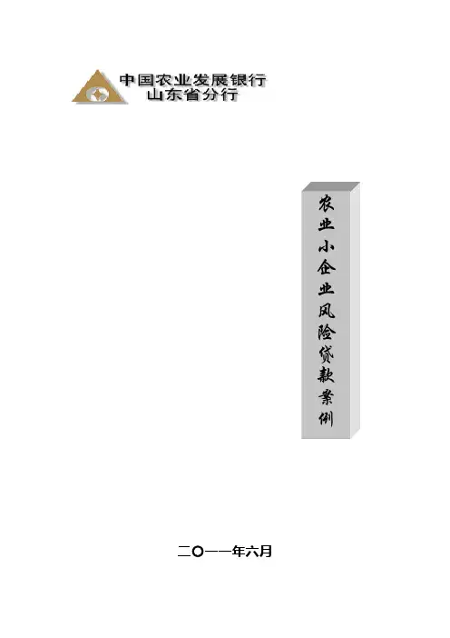 农业小企业风险贷款案例