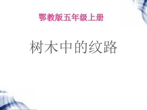 《树木中的纹路》走进树林PPT精品教学课件2