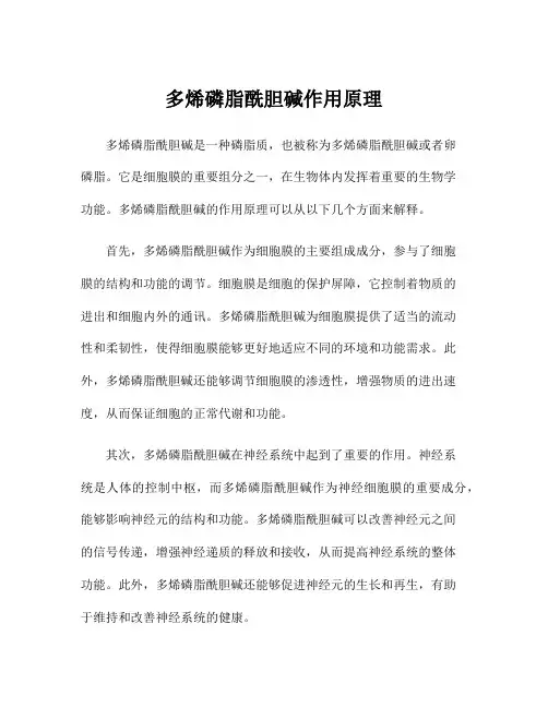 多烯磷脂酰胆碱作用原理