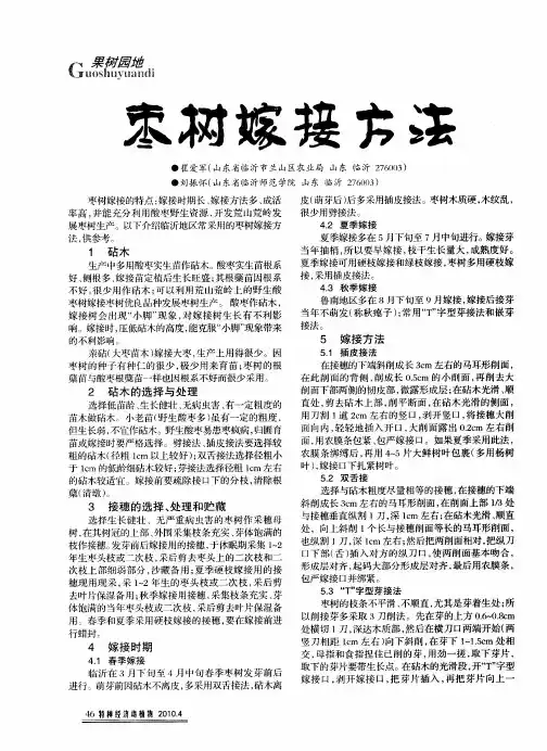 枣树嫁接方法