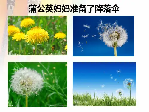 植物妈妈有办法