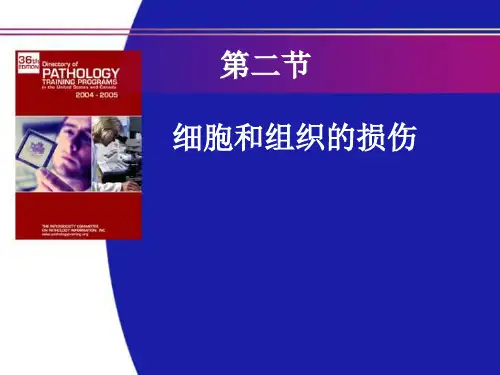 病理学benke损伤修复精品PPT课件