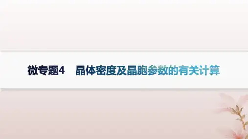 2025高中化学第3章晶体结构与性质微专题4晶体密度及晶胞参数的有关计算课件新人教版选择性必修2