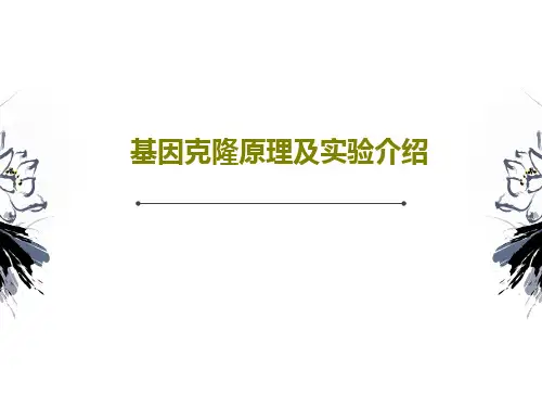 基因克隆原理及实验介绍36页PPT