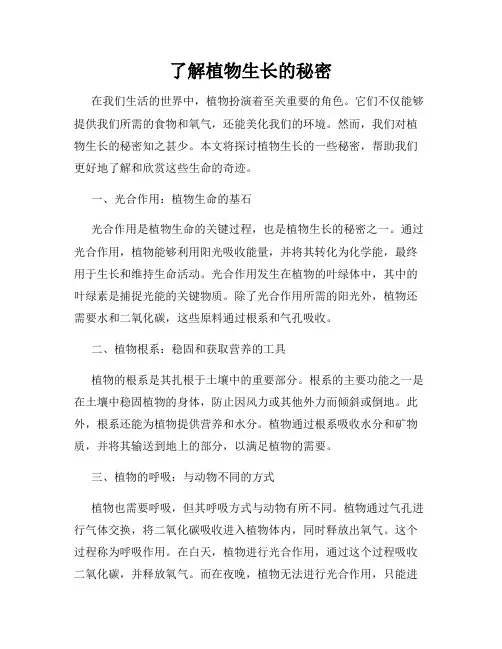 了解植物生长的秘密
