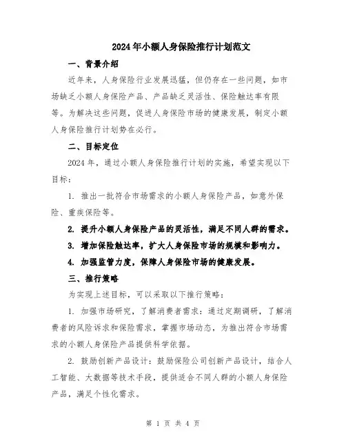 2024年小额人身保险推行计划范文
