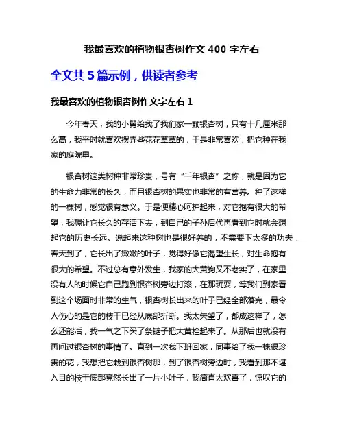 我最喜欢的植物银杏树作文400字左右