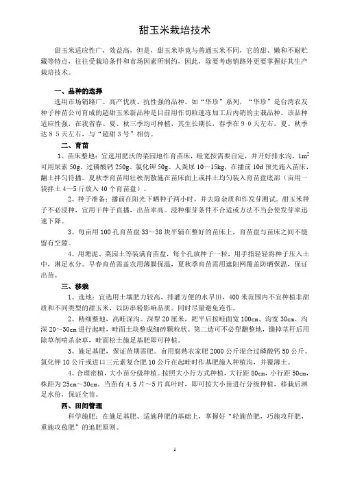 优质甜玉米123