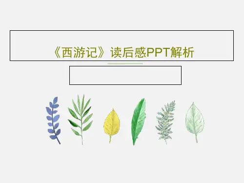 《西游记》读后感PPT解析共17页文档
