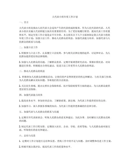 人代表小组年度工作计划