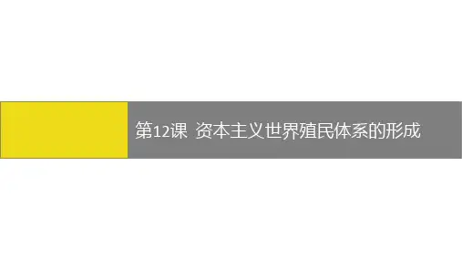 人教统编版高中历史必修中外历史纲要下第12课资本主义世界殖民体系的形成问题探究课件(共24张PPT)