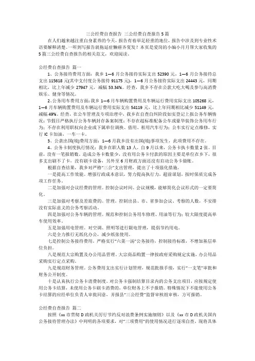 三公经费自查报告 三公经费自查报告5篇