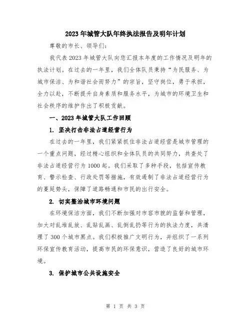 2023年城管大队年终执法报告及明年计划