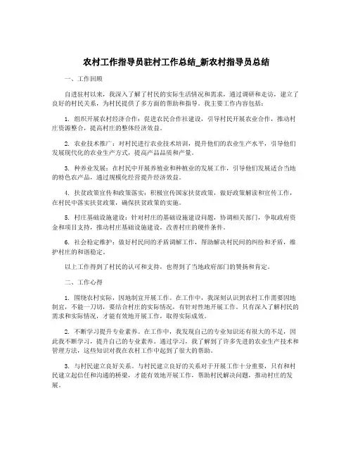 农村工作指导员驻村工作总结_新农村指导员总结