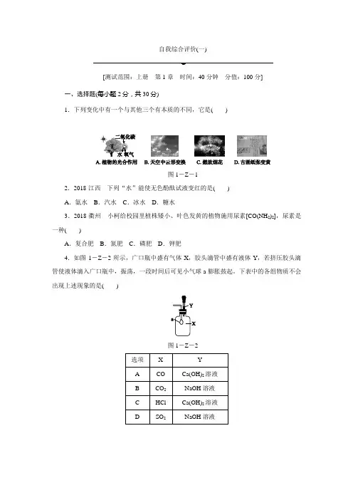浙教版科学九年级上册单元测试(一) 第1章 物质及其变化(2021年初中科学浙教版)