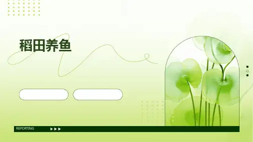 《稻田养鱼》课件