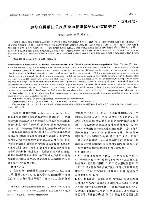 脑缺血再灌注后皮层微血管超微结构的实验研究